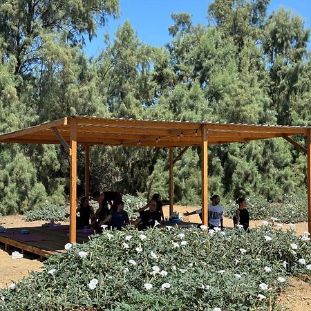 Rancho Dominique Valle De Guadalupe Villa Luaran gambar