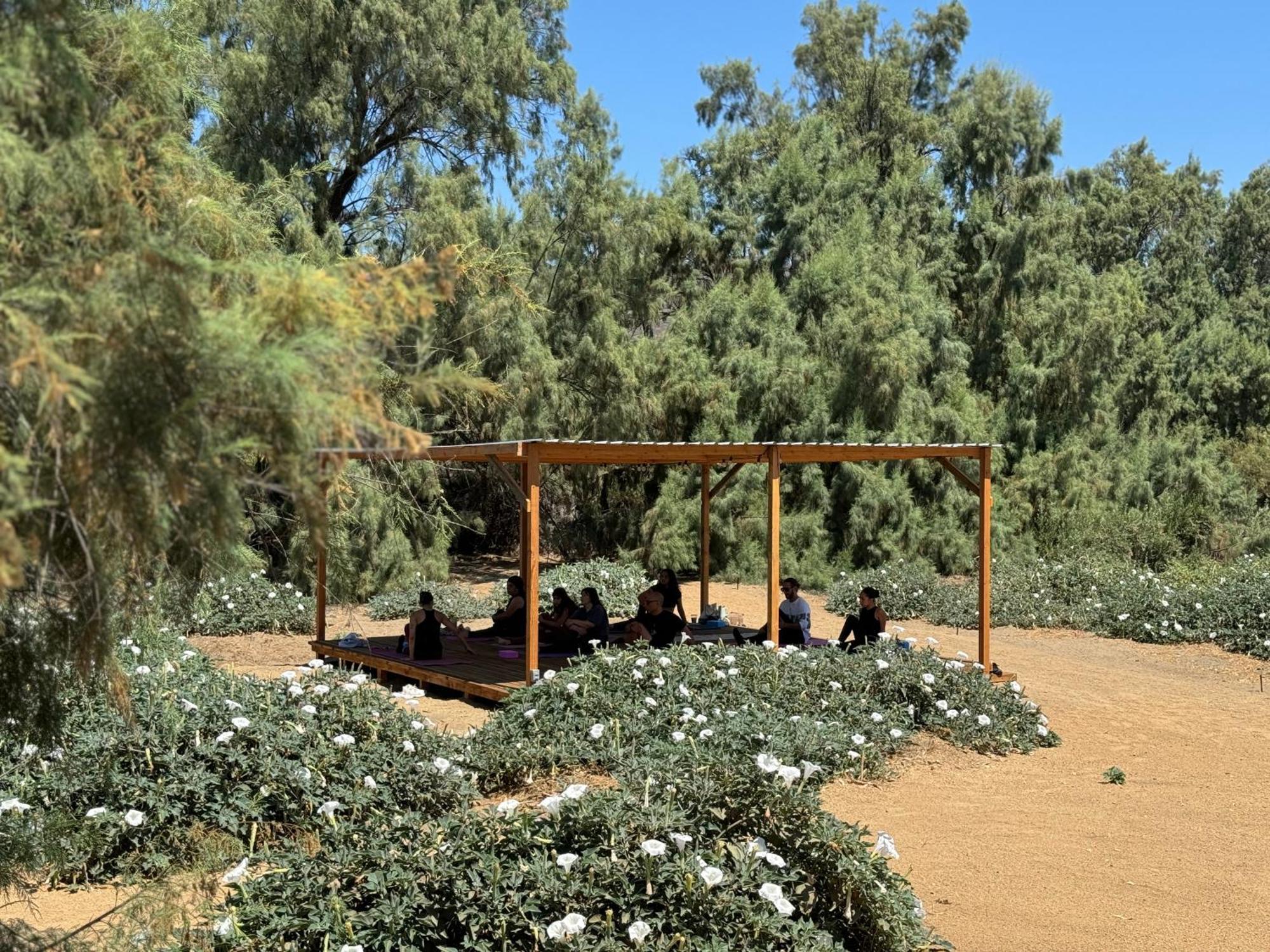 Rancho Dominique Valle De Guadalupe Villa Luaran gambar