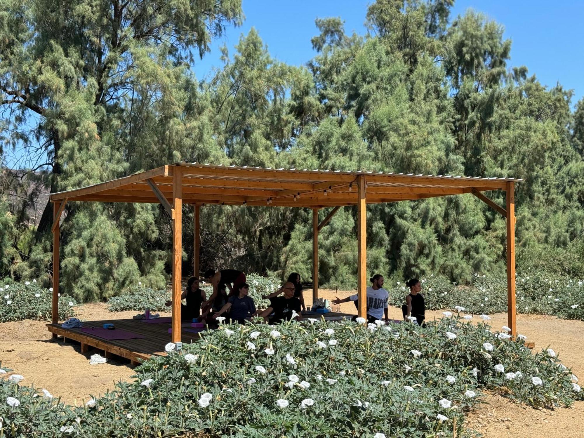 Rancho Dominique Valle De Guadalupe Villa Luaran gambar